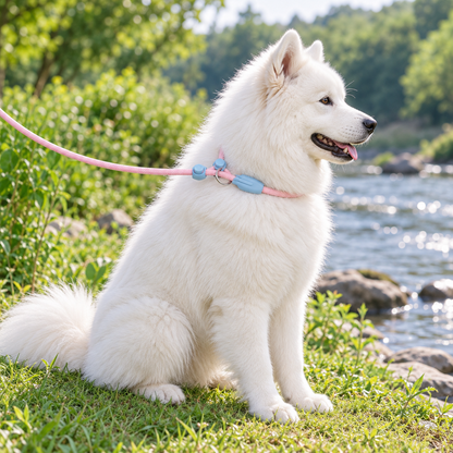 PINK &amp; BLUE ADJUSTABLE DOG SLIP LEAD - 1.5 M